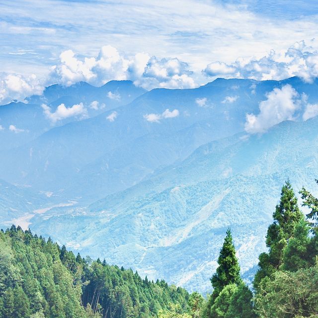 阿里山高空觀景