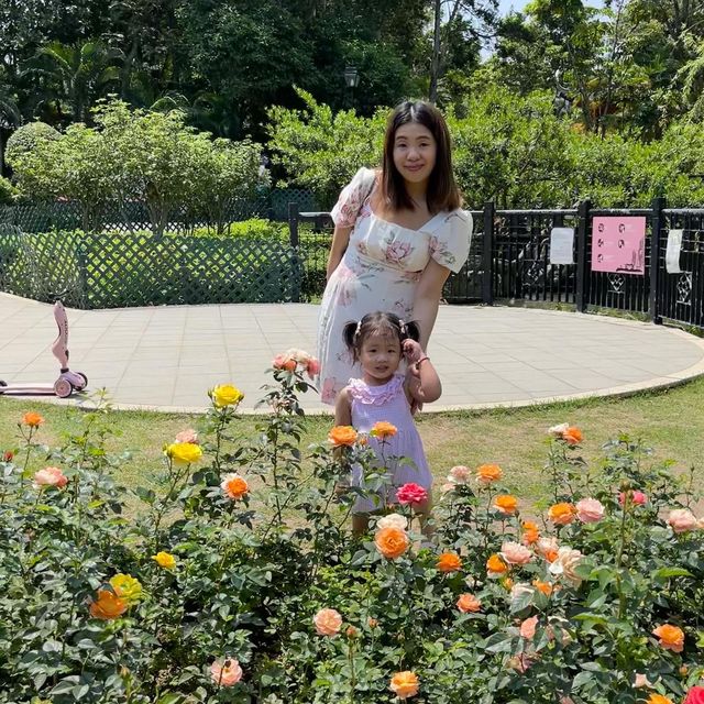 🌹1年四季都盛開的玫瑰園🌹