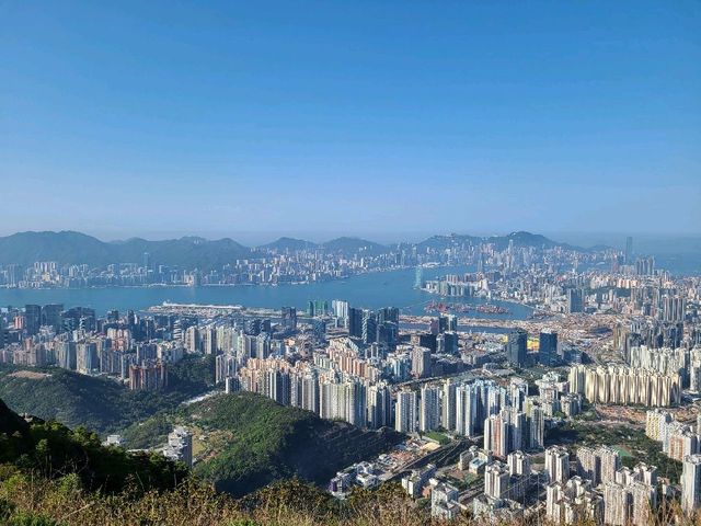 九龍之最~飛鵝山⛰️
