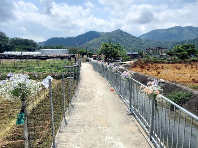 新田信芯園農莊