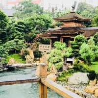 ［🪷南蓮園池🪷］