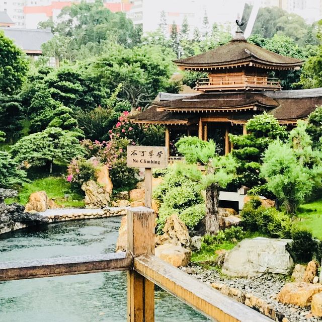 ［🪷南蓮園池🪷］