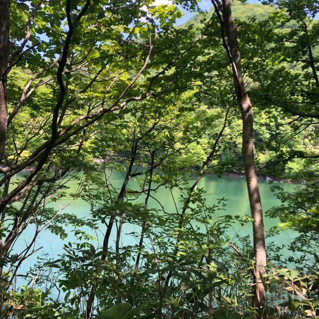 【青森県】世界遺産・白神山地の神秘の池で森林浴！