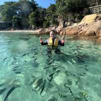 the best island in terengganu- redang island!