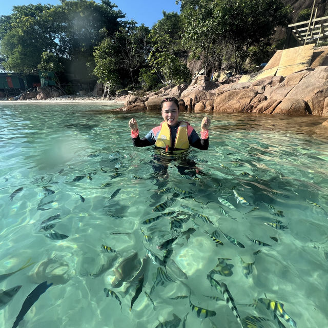 the best island in terengganu- redang island!