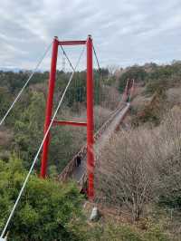An off beaten path from the busy city