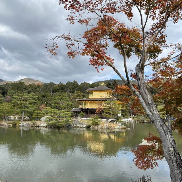 日本京都必去景點｜壯觀的金閣寺，世界遺產之一