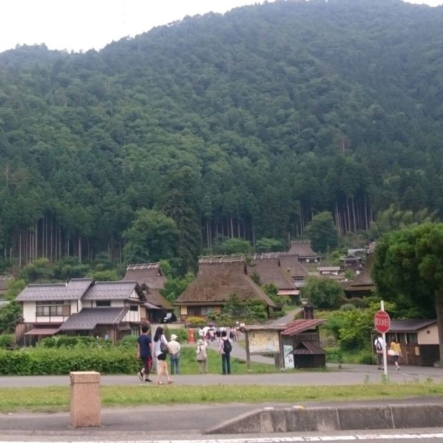 日本三大傳統茅葺屋部落之一 京都美山町！