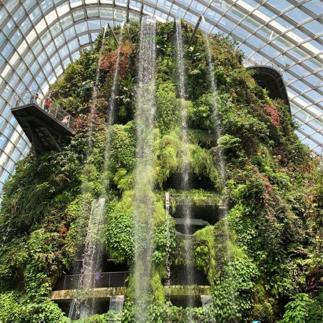 Garden by the Bay in Singapore 