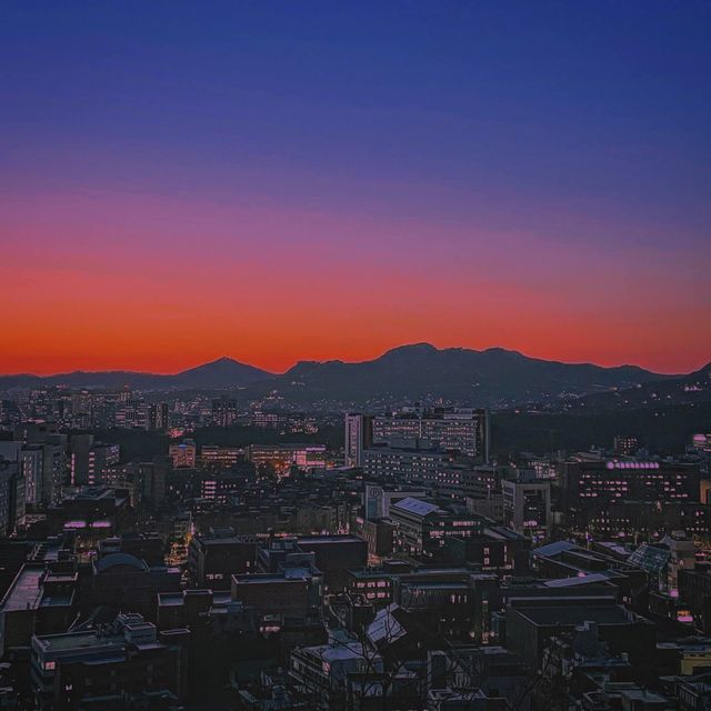 가볍게 산책하기 좋은 낙산공원의 겨울