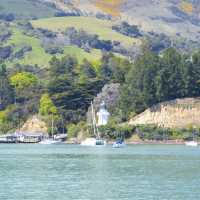 Akaroa - New Zealand 