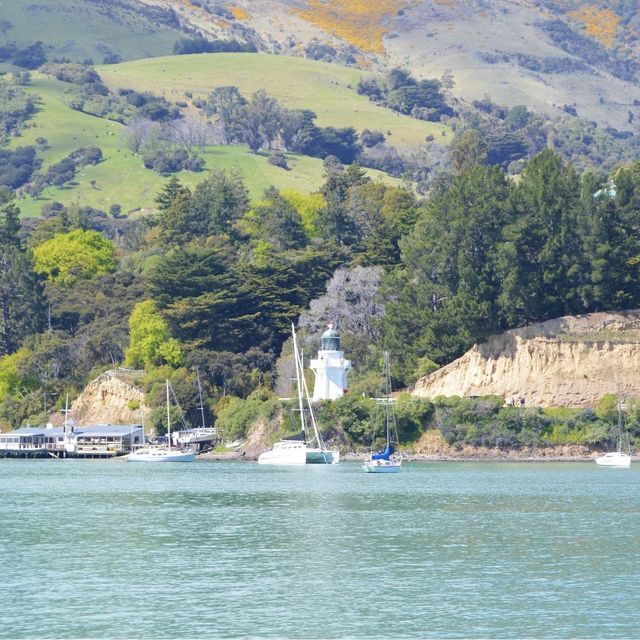 Akaroa - New Zealand 