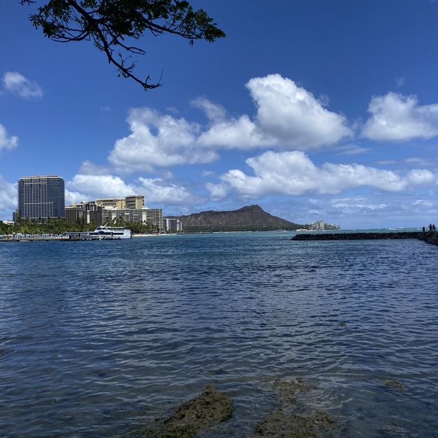 Unchrasing waves beach: Kahanamoku