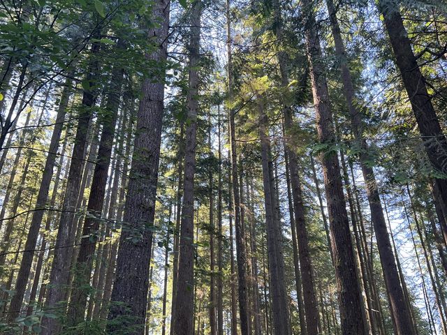 Hiking in Vancouver 