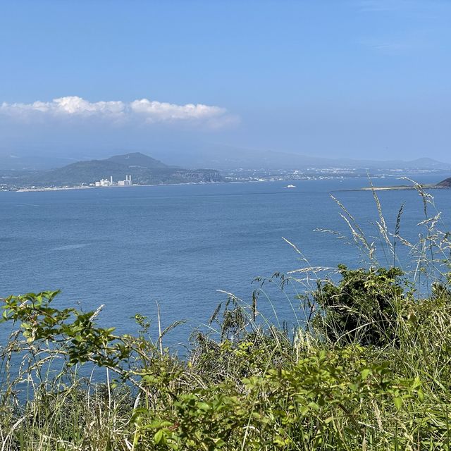 Beautiful Jeju Hike