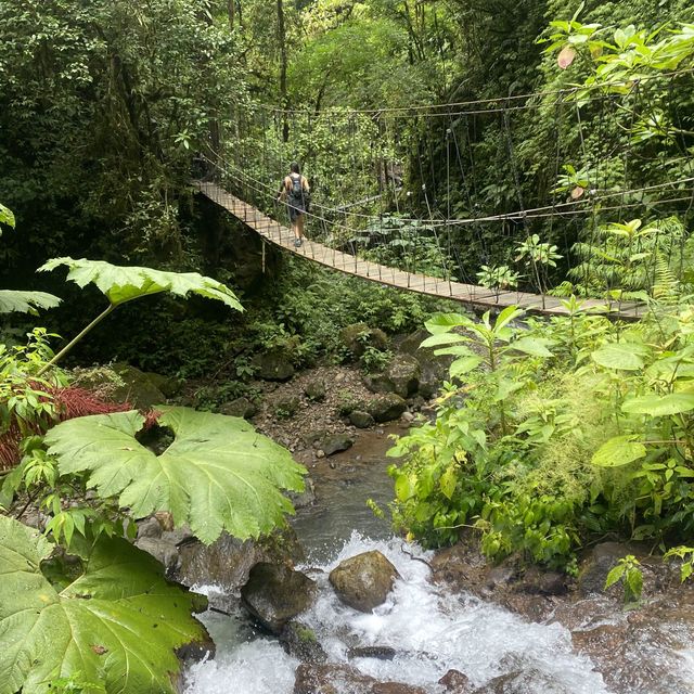 Cloud Forest, Costa Rica