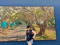 ไปถ่ายรูป เสพงานศิลป์กันที่ •MOCA Museum• 🎨🖼️