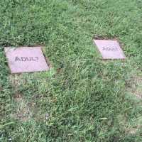 Discover N. Carolina History in Old Salem  