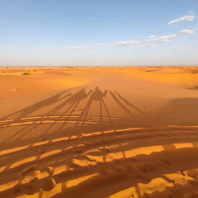 Morocco Sahara Desert Camel Ride