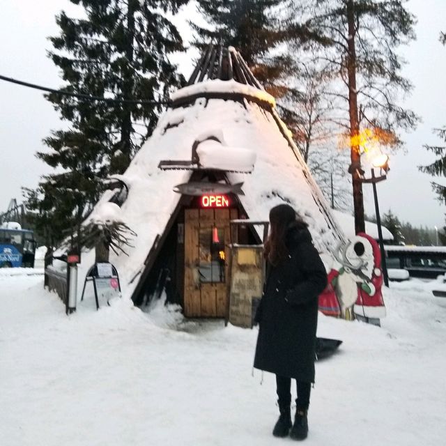 🇫🇮 Rovaniemi · 森林原木燒三文魚