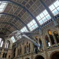 Our favourite museum in London