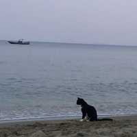 Beaches in Naxos worth visiting 