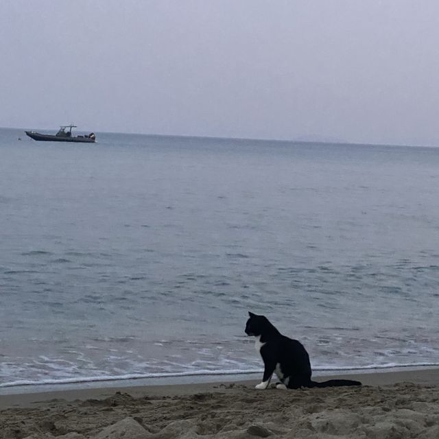 Beaches in Naxos worth visiting 