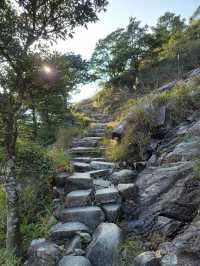 秋冬行山團!大東山賞芒草!!