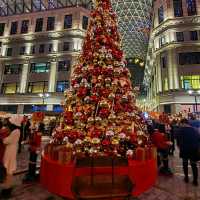 "'It's the Most Wonderful Time of the Year