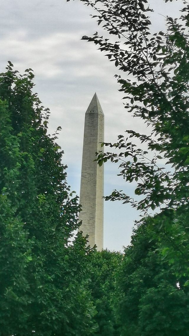 White House vs Capitol Hill, which one is more famous?