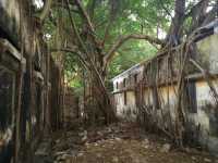Stroll through the old site of Yilong Firecracker Factory in Macau 21.
