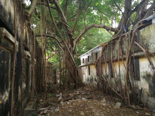 Stroll through the old site of Yilong Firecracker Factory in Macau 21.
