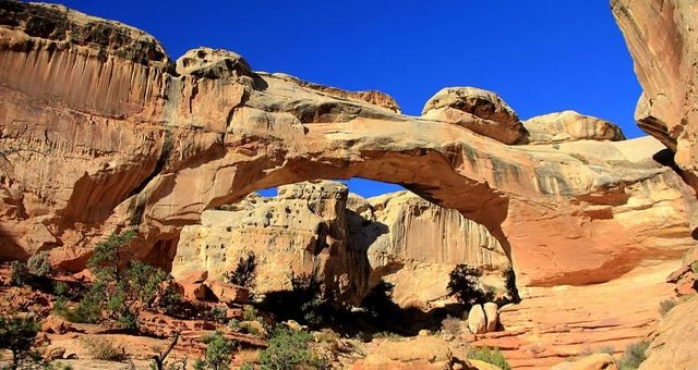 The park boasts the most spectacular geological structures in the American West.