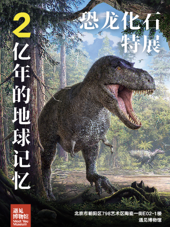 【北京】2億年的地球記憶—恐龍化石特展｜展覽休閒 | 遇見博物館(北京798館)