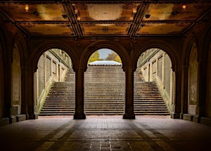 Walk&Talk - Central Park | Duke Ellington Boulevard