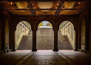 Walk&Talk - Central Park | Duke Ellington Boulevard
