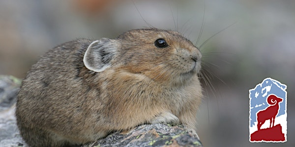 Wildlife of the High Country in Rocky Mountain National Park | Fall River Visitor Center