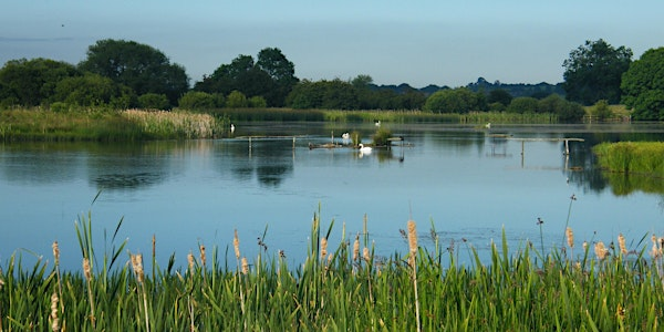 Wildlife Photography for beginners | Staveley Nature Reserve
