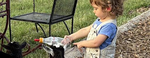 Baby Goat & Bunny Bottle Feed & All Farm Animal Feed | Little Goat Farm at the Lake