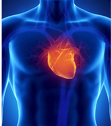 ACLS Provider + BLS Provider Certification - March 10 & 11th, 2026 | St. Joseph's Healthcare Hamilton