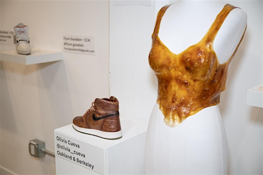 Intro to Bio Textile Design | SoleSpace Lab