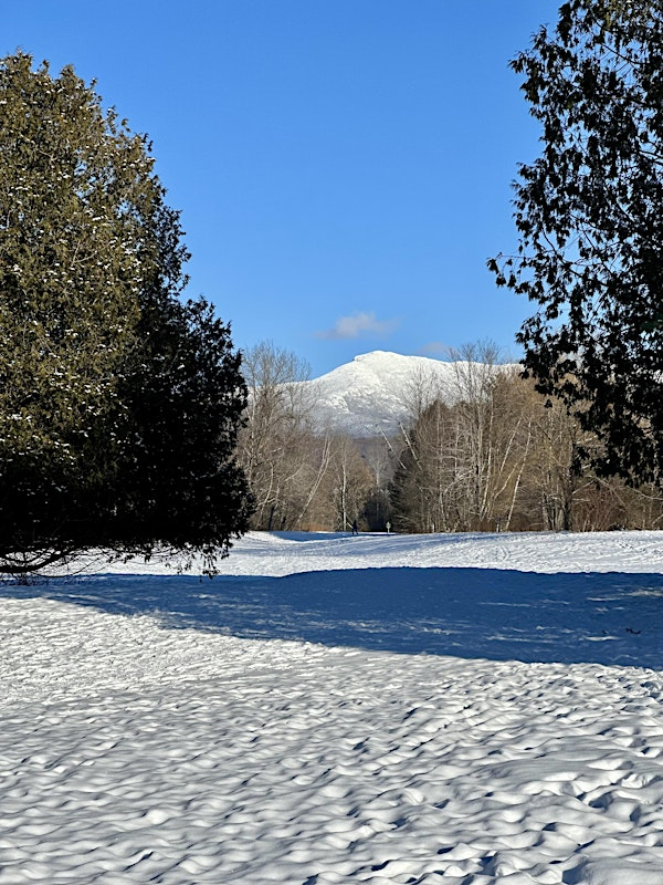 Sliding & Strolling at Mills Riverside Park | Mills Riverside Park