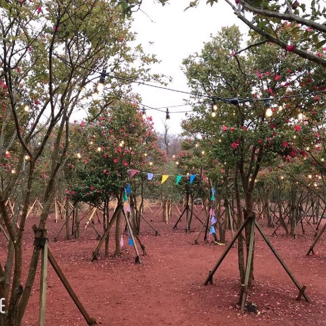 제주도 포토 맛집 [에코랜드]