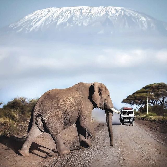 Mount Kilimanjaro, Tanzania