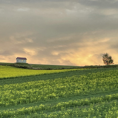 北海道 美瑛町 拓進の丘 Trip Com 北海道の旅のブログ