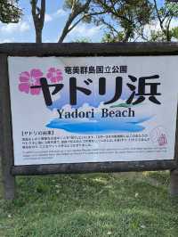 ヤドリ浜　奄美大島