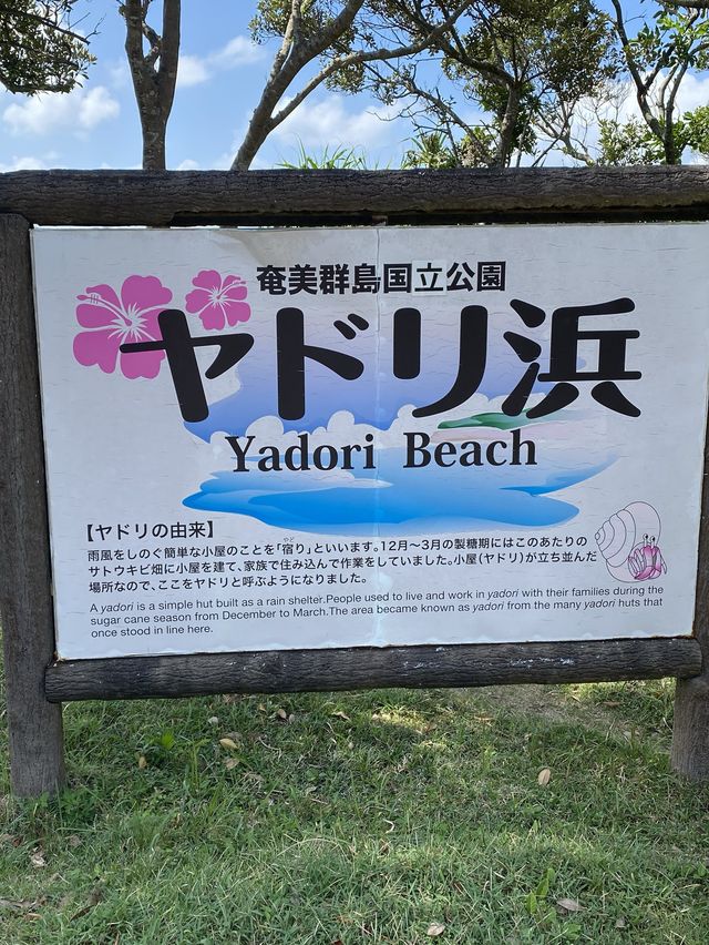 ヤドリ浜　奄美大島
