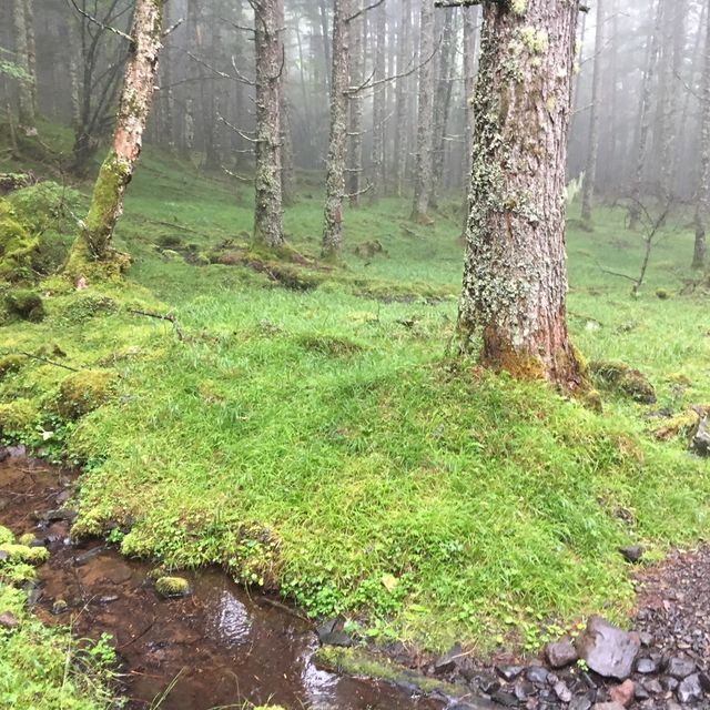 八ヶ岳下山道中