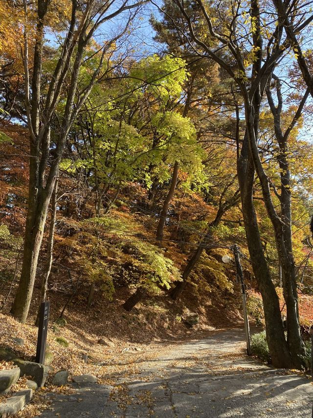 단풍이 아름다운 동화사 🍁🍂