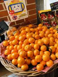 Fruits Factory Mooon レトロ